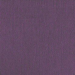 206655 Purple Reign