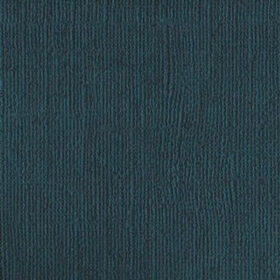 207769 Deep Navy Blue