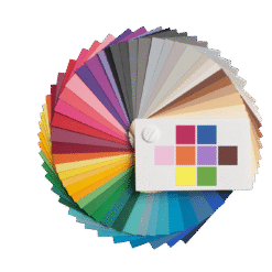 All CARD by Colour